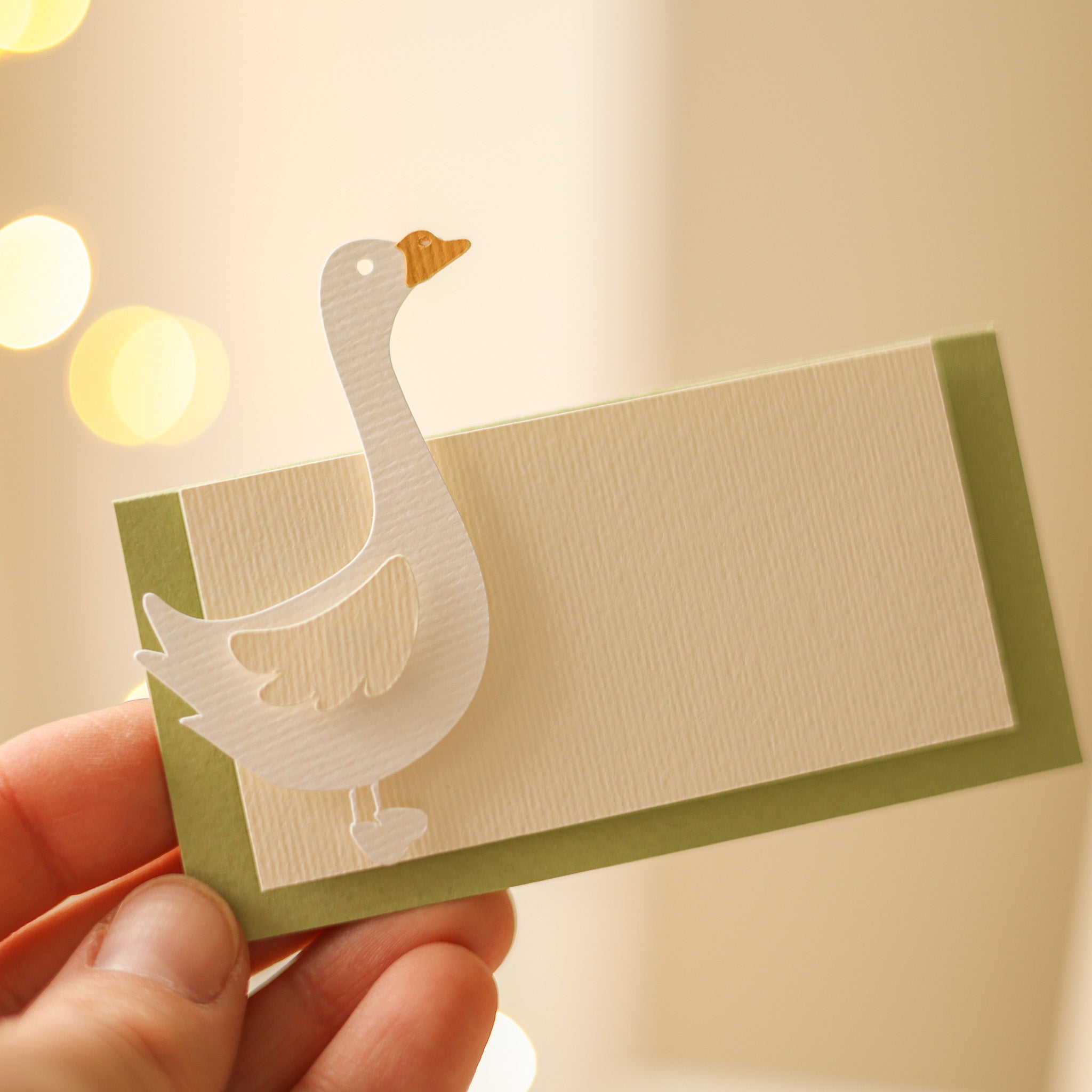 Silly Goose Place Cards Vintage Goose Birthday party Goose Baby Shower