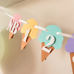 Ice Cream 12 Month Photo Banner Here's the Scoop Birthday party