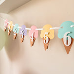 Ice Cream 12 Month Photo Banner Here's the Scoop Birthday party