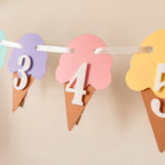 Ice Cream 12 Month Photo Banner Here's the Scoop Birthday party