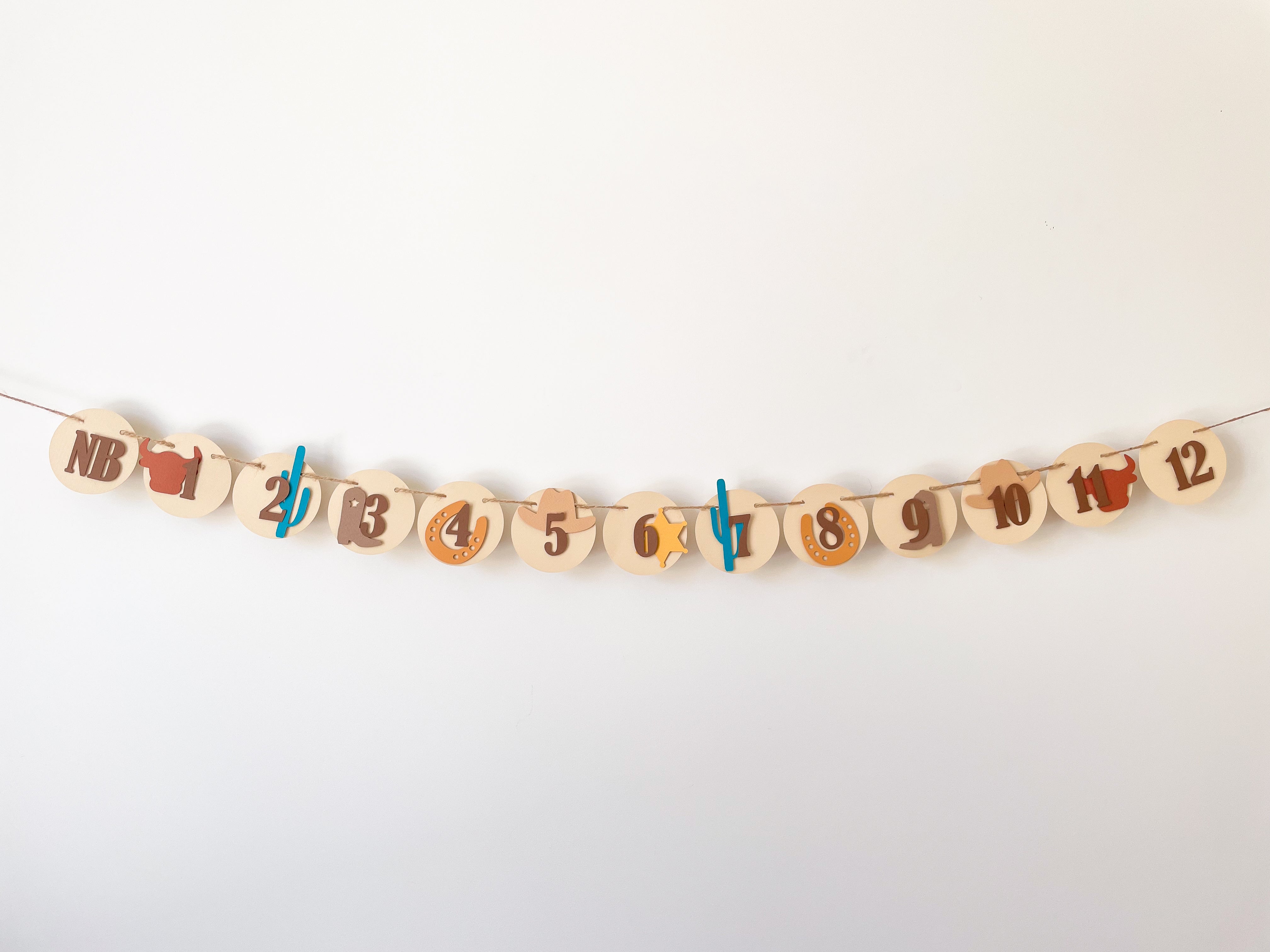 Cowboy Rodeo 12 Month Photo Banner My First Rodeo Birthday Party Cowboy 1st Birthday Decorations Wild West Party Decor 