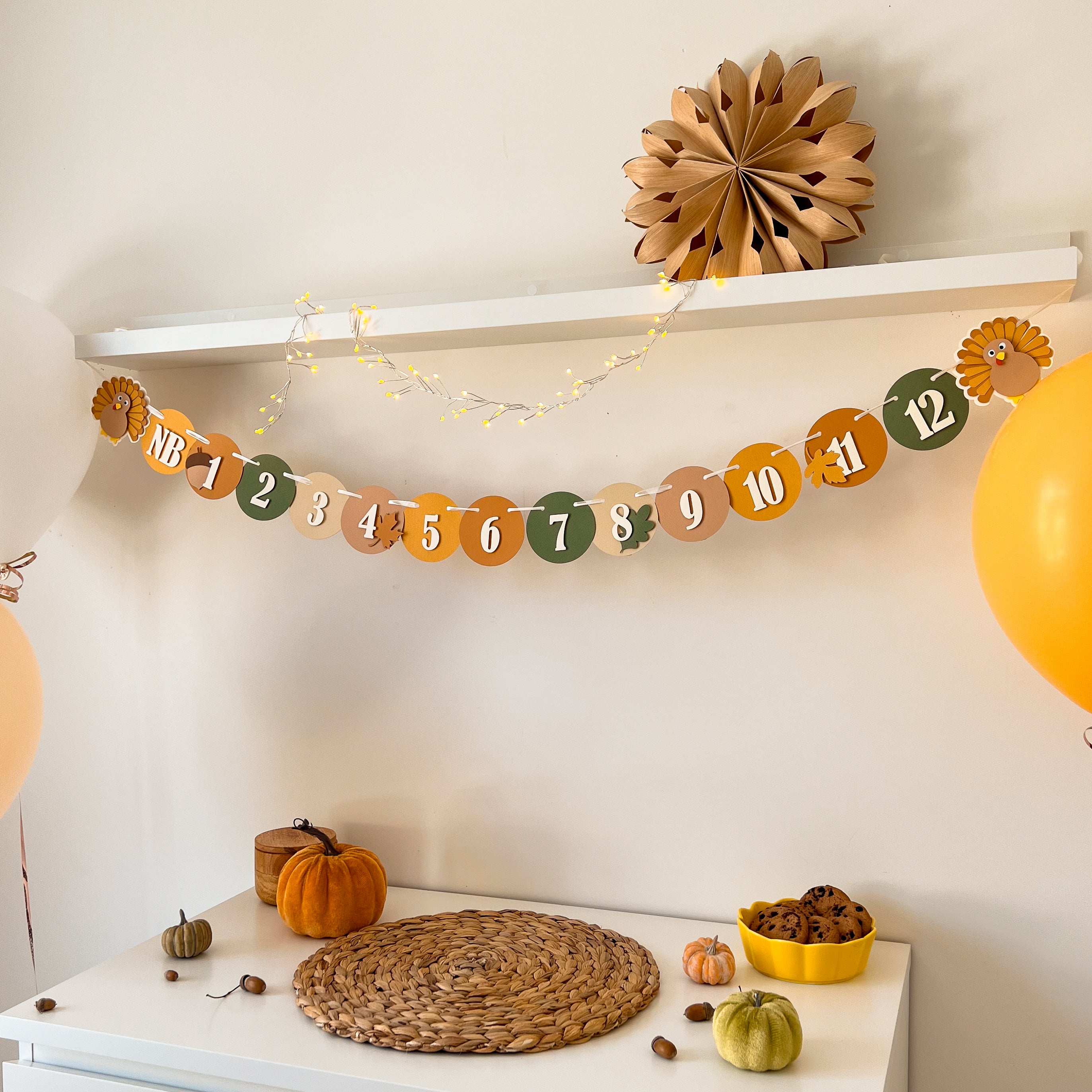 Turkey 12 Month Photo Banner Thanksgiving 1st Birthday Fall 1st Birthday