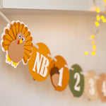 Turkey 12 Month Photo Banner Thanksgiving 1st Birthday Fall 1st Birthday