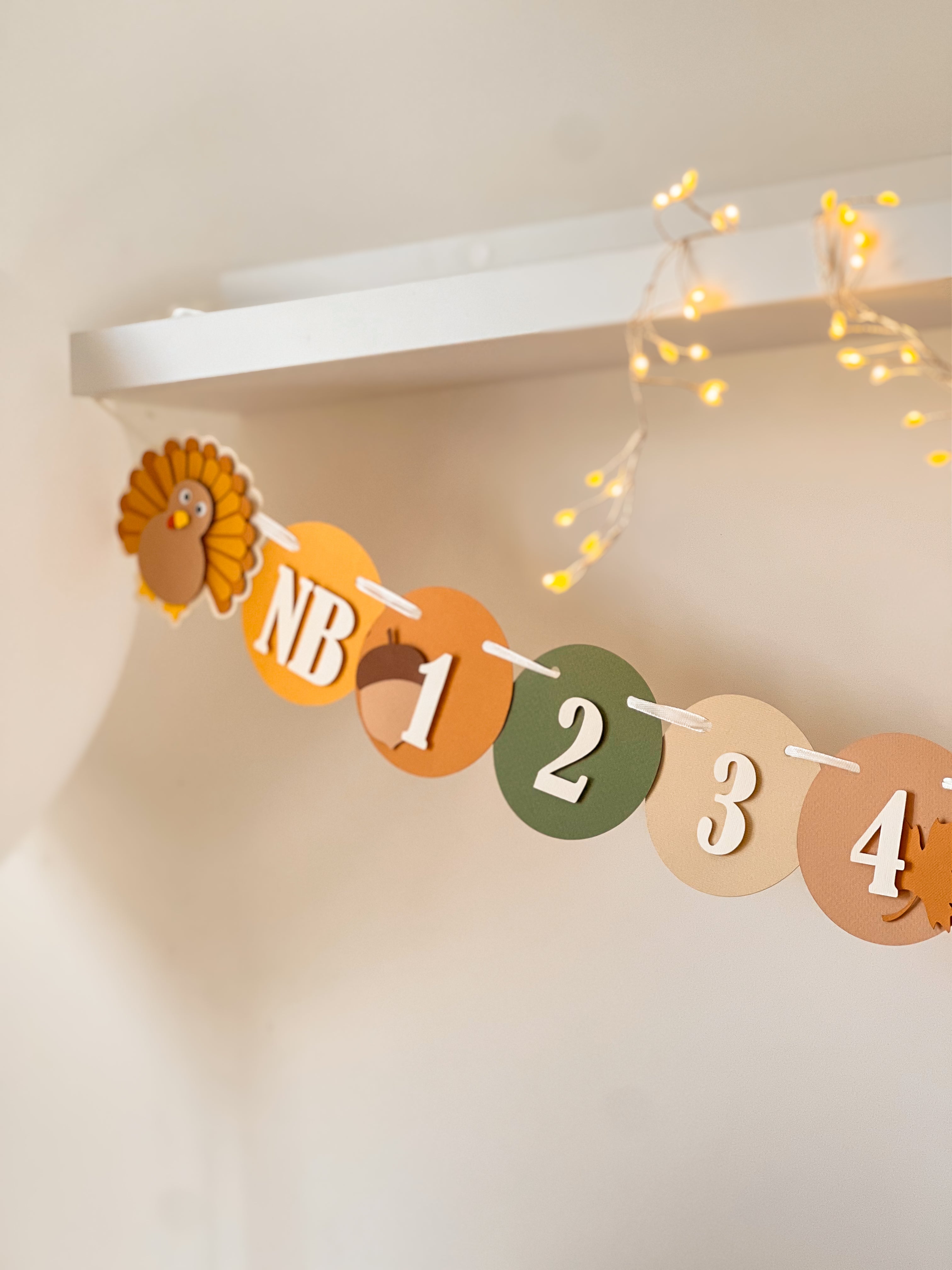 Turkey 12 Month Photo Banner Thanksgiving 1st Birthday Fall 1st Birthday