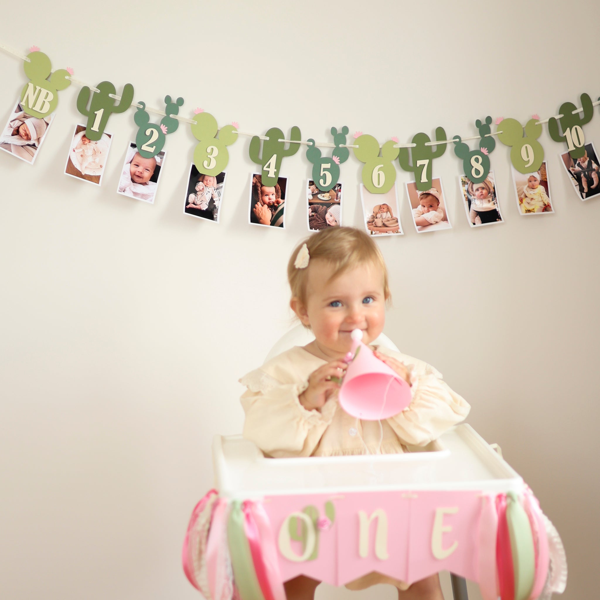 Cactus Photo Banner, One Prickly Pair First Birthday Decorations