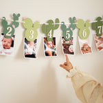 Cactus Photo Banner, One Prickly Pair First Birthday Decorations