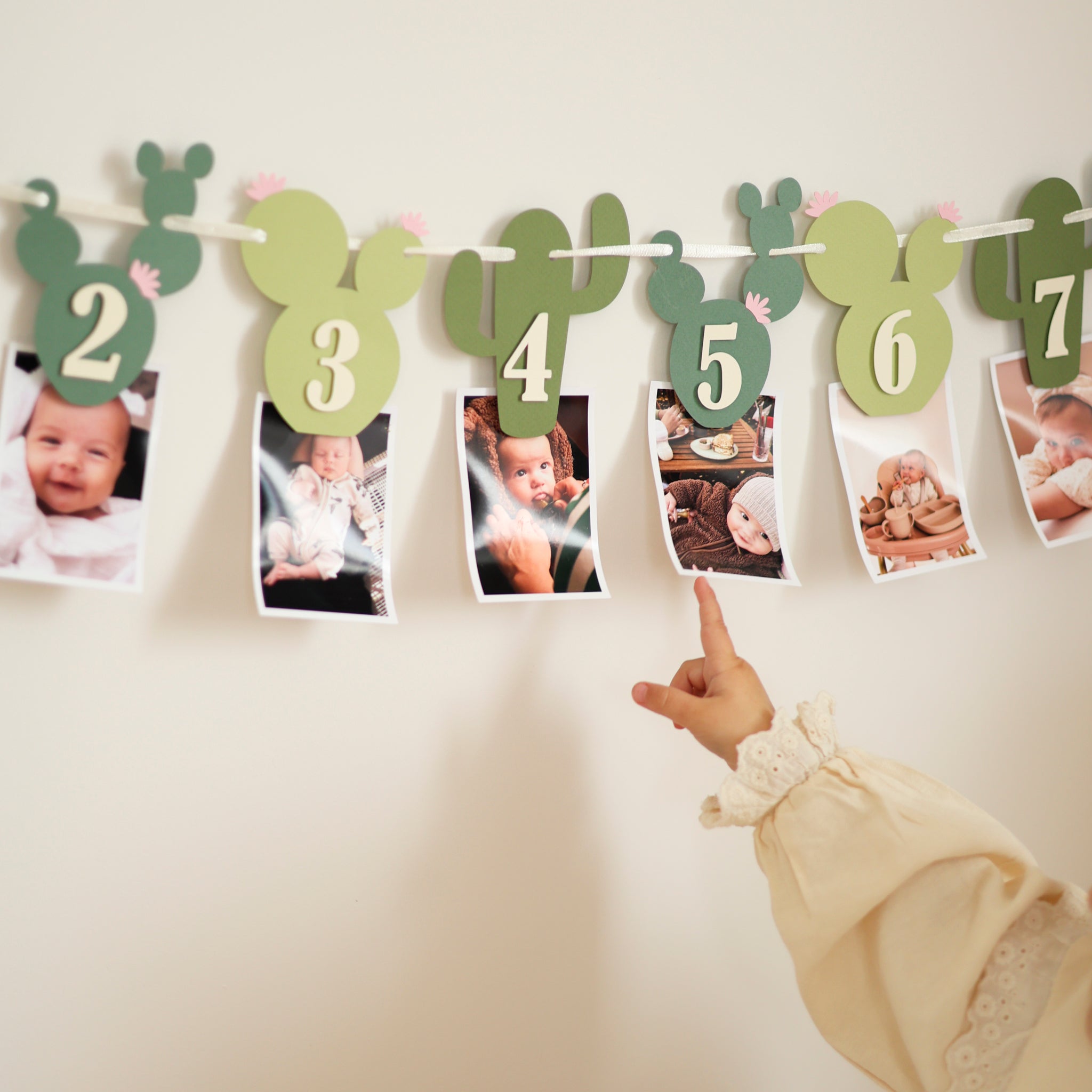 Cactus Photo Banner, One Prickly Pair First Birthday Decorations