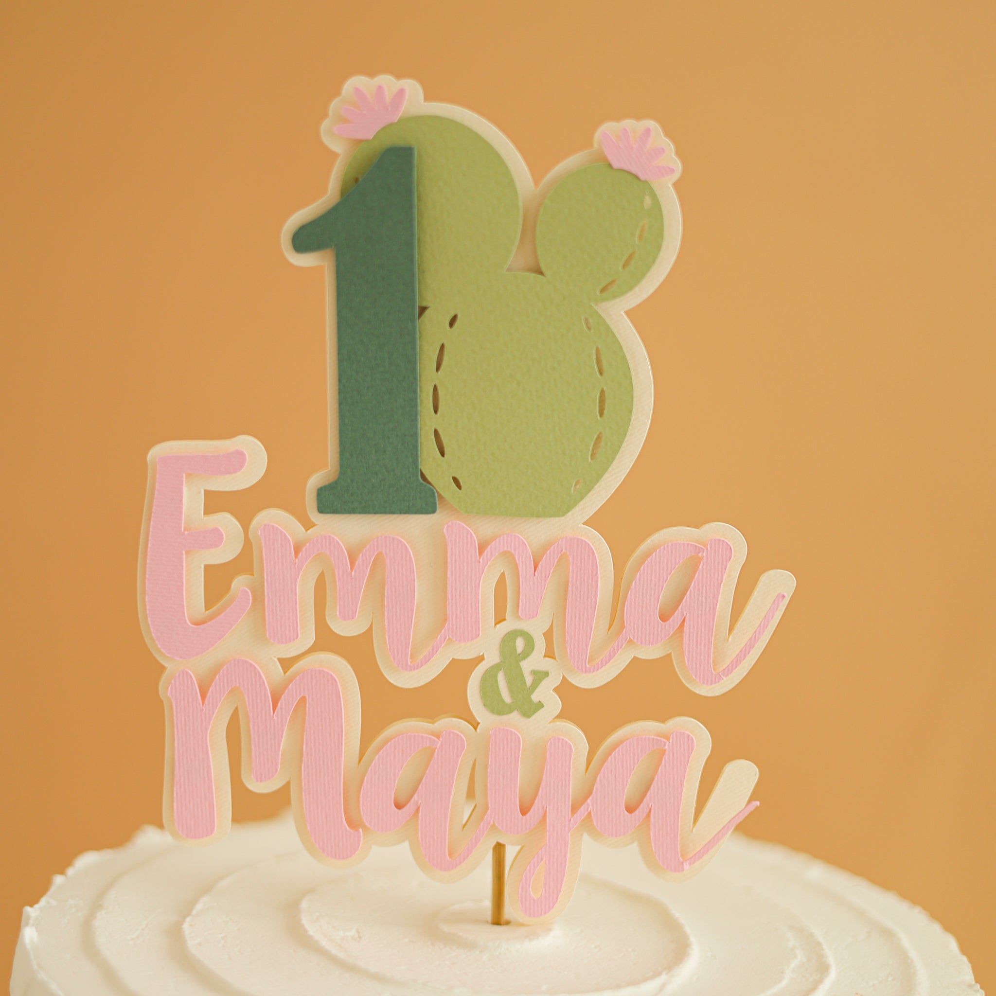 One Prickly Pair Cake Topper, Twin Girls 1st Birthday Party, Pink Cactus Decorations