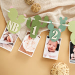Cactus Photo Banner, One Prickly Pair First Birthday Decorations
