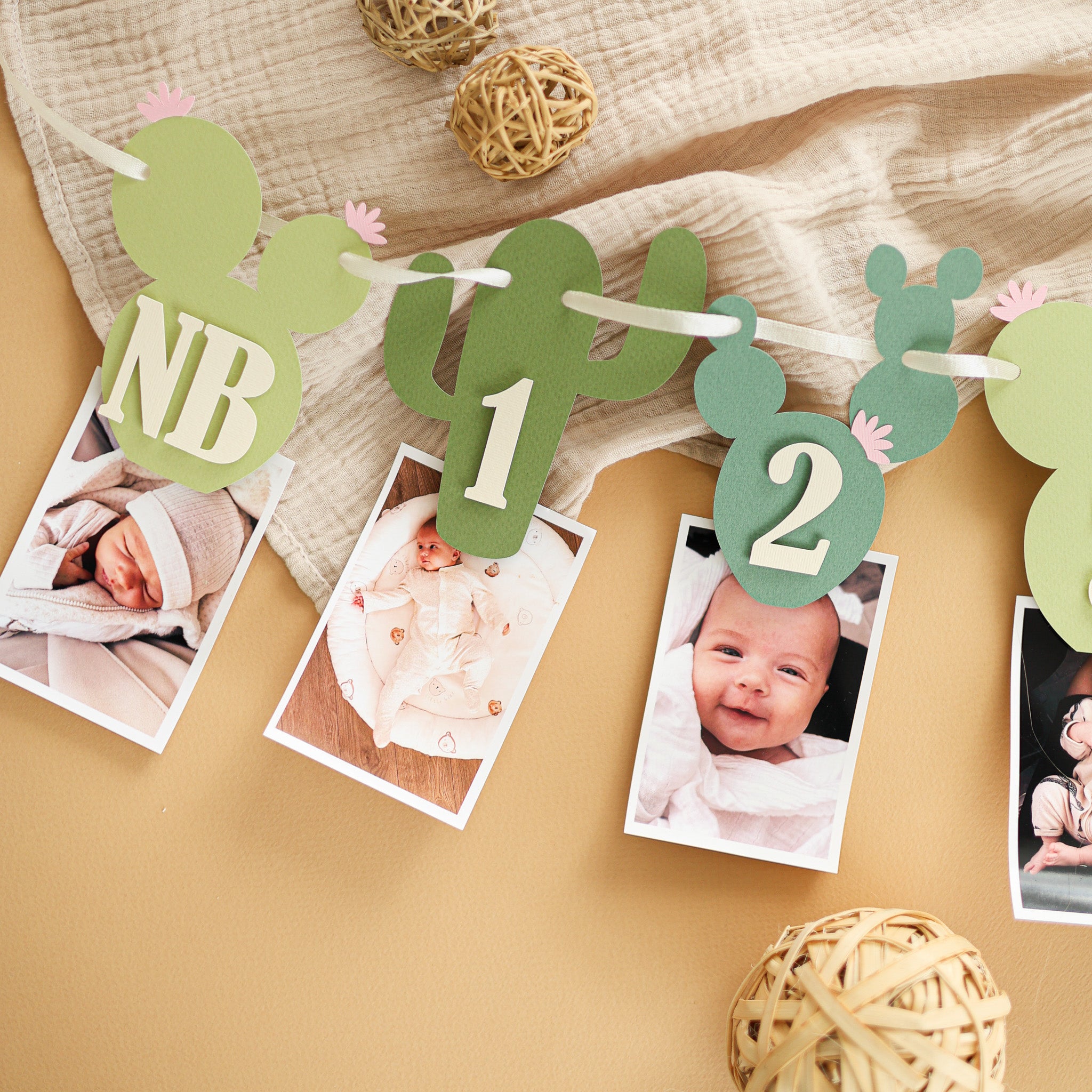Cactus Photo Banner, One Prickly Pair First Birthday Decorations