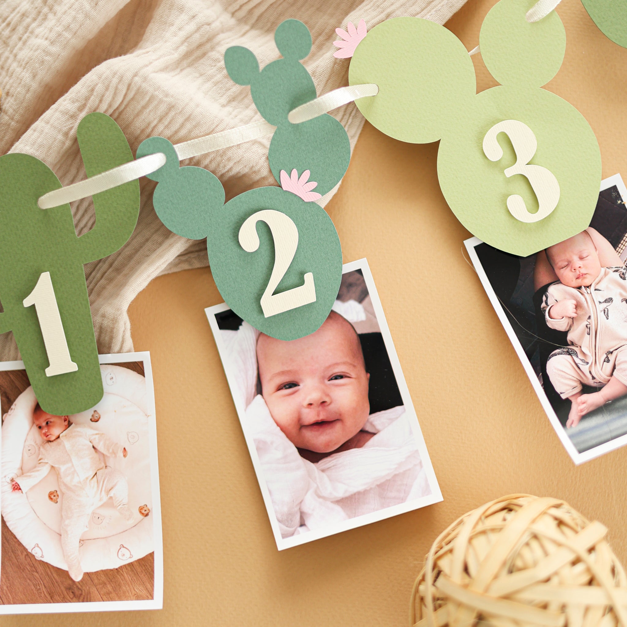 Cactus Photo Banner, One Prickly Pair First Birthday Decorations
