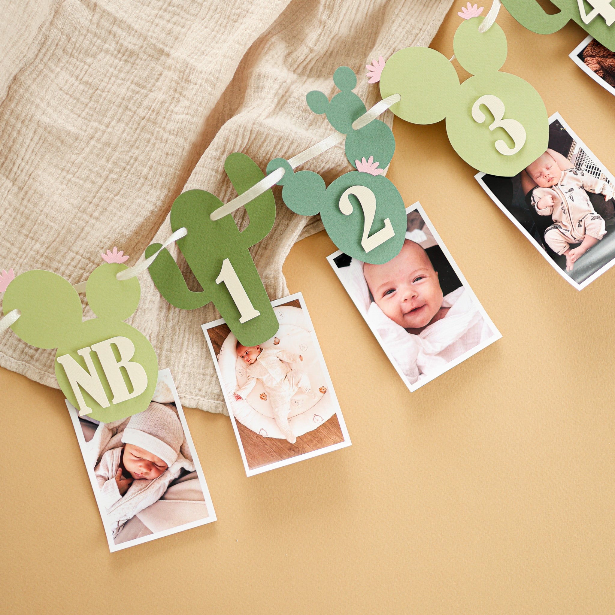 Cactus Photo Banner, One Prickly Pair First Birthday Decorations