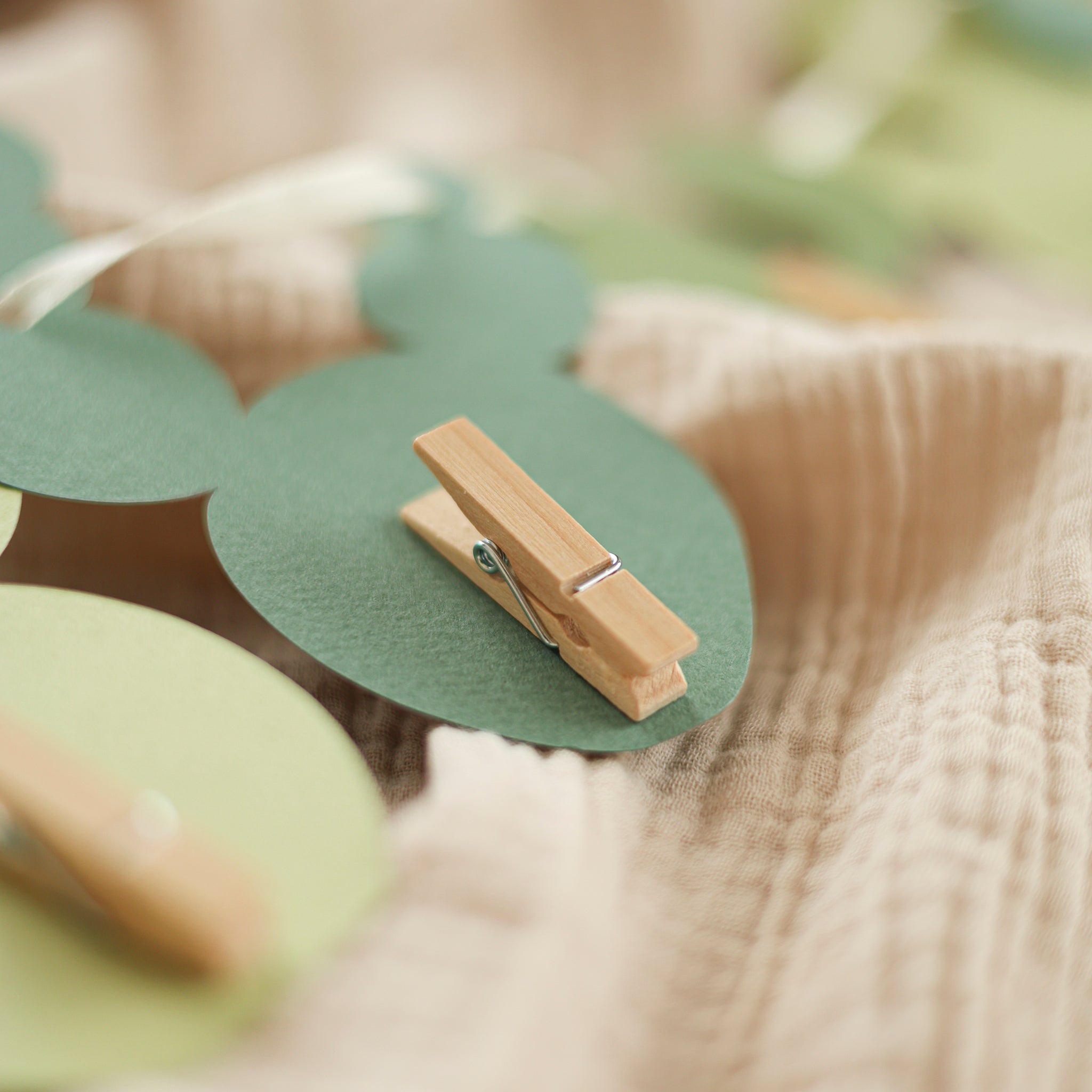 Cactus Photo Banner, One Prickly Pair First Birthday Decorations
