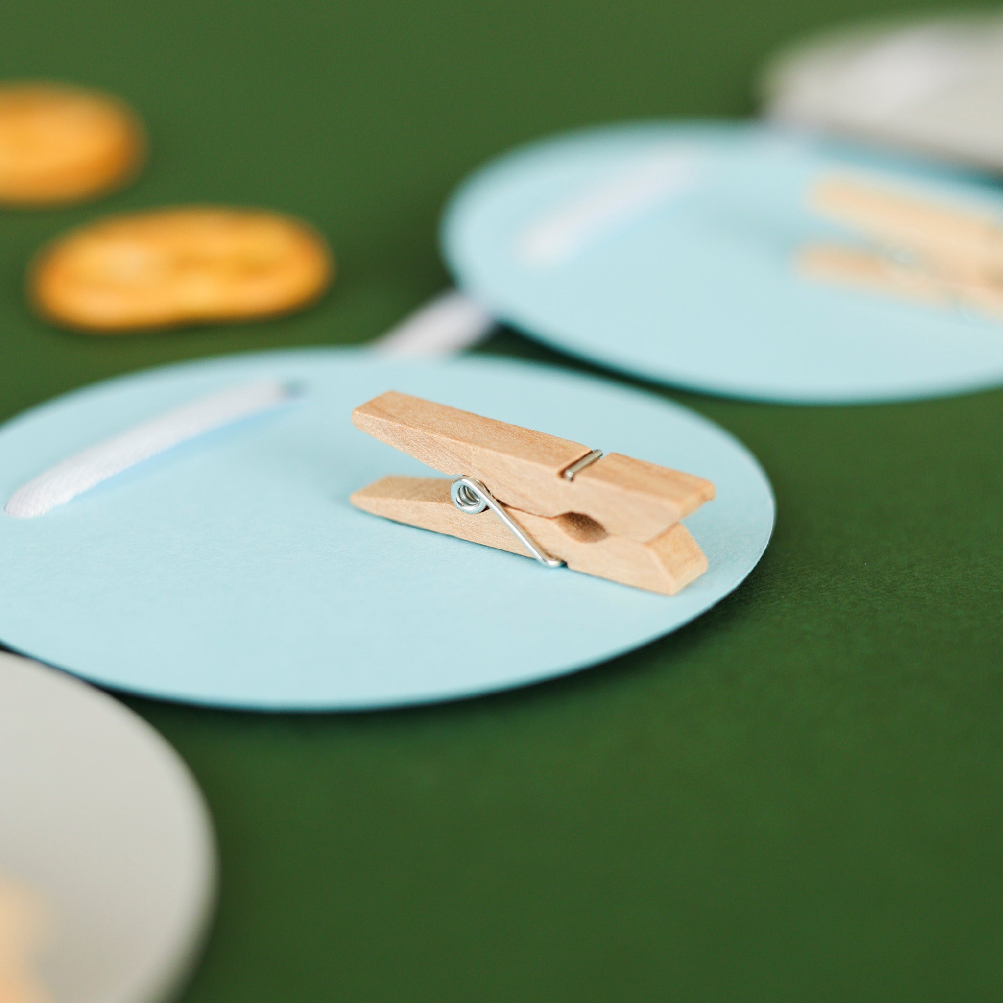 Hole in One Monthly Photo Banner - Golf Birthday Decoration