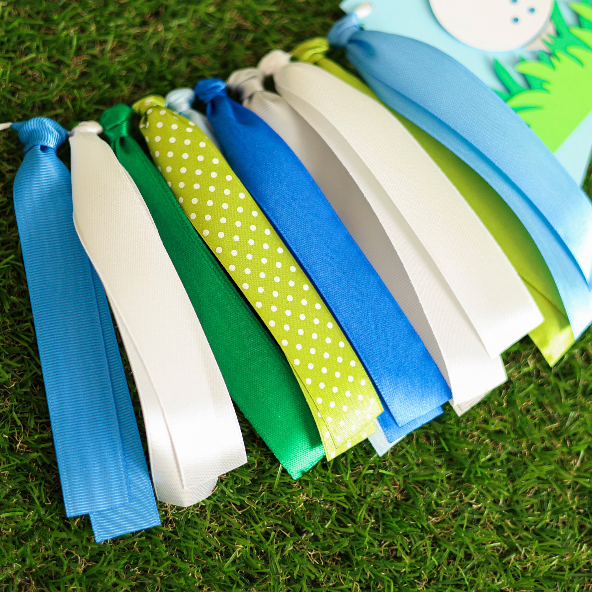 Golf Hole in One Banner