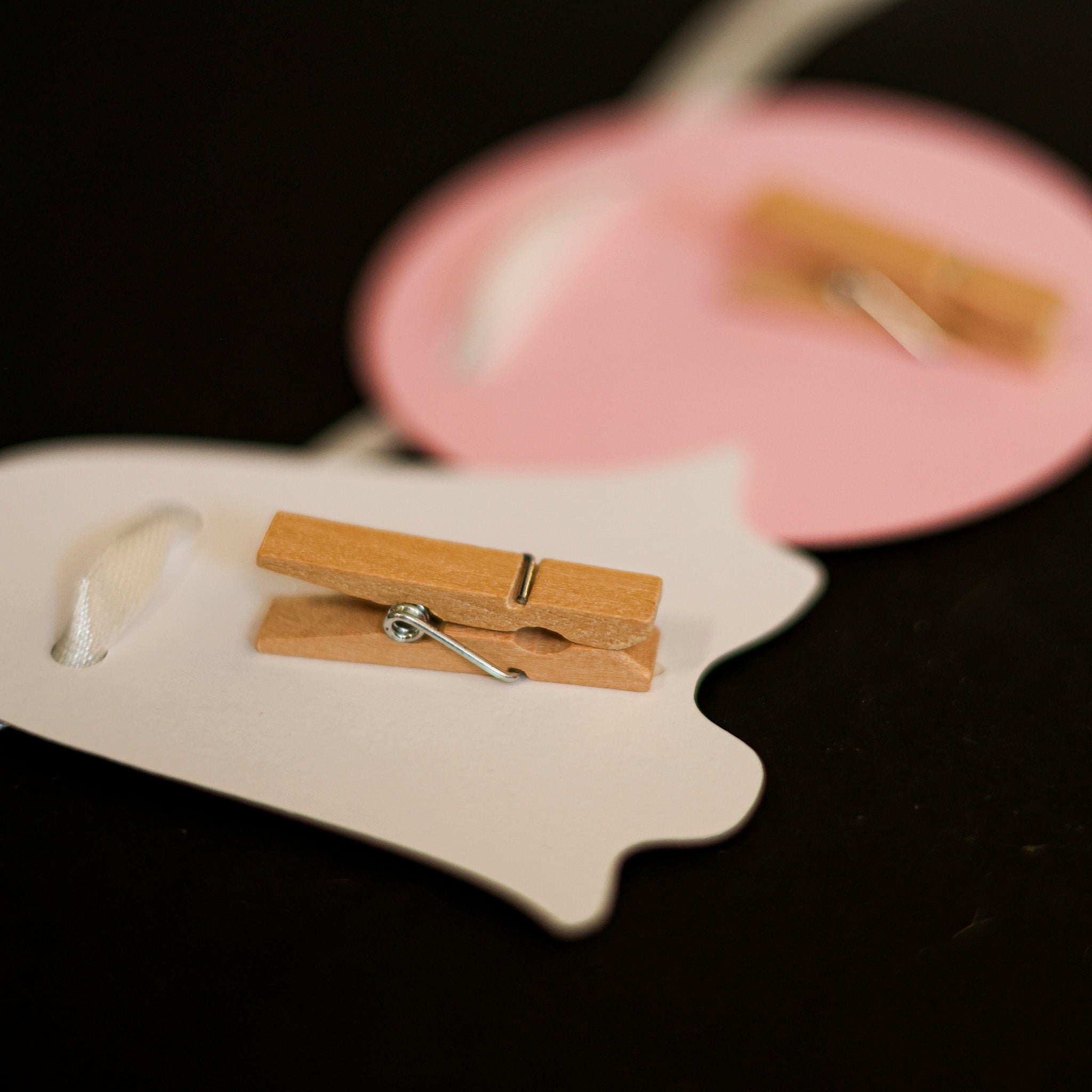Wooden clothespin on a 12 month photo banner