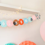 Dog and Cat 12 Month Photo Banner