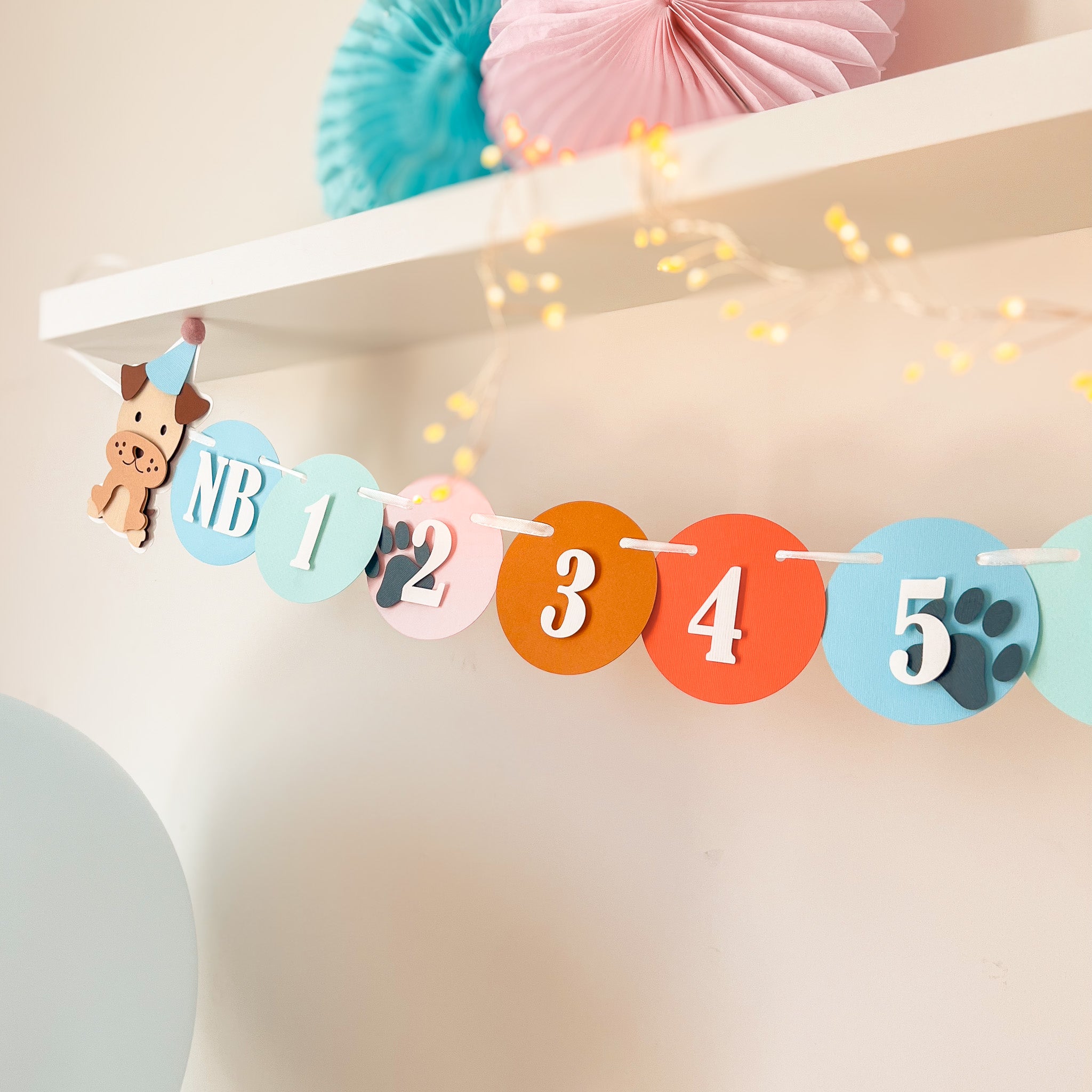 A colorful pet-themed 12 month photo banner.