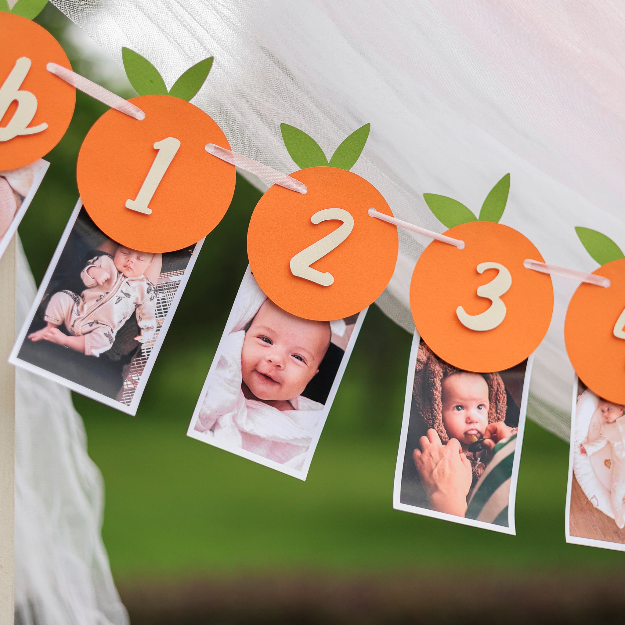 Little Cutie Monthly Photo Banner - Clementine 1st Birthday Decor