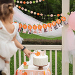Little Cutie Monthly Photo Banner - Clementine 1st Birthday Decor