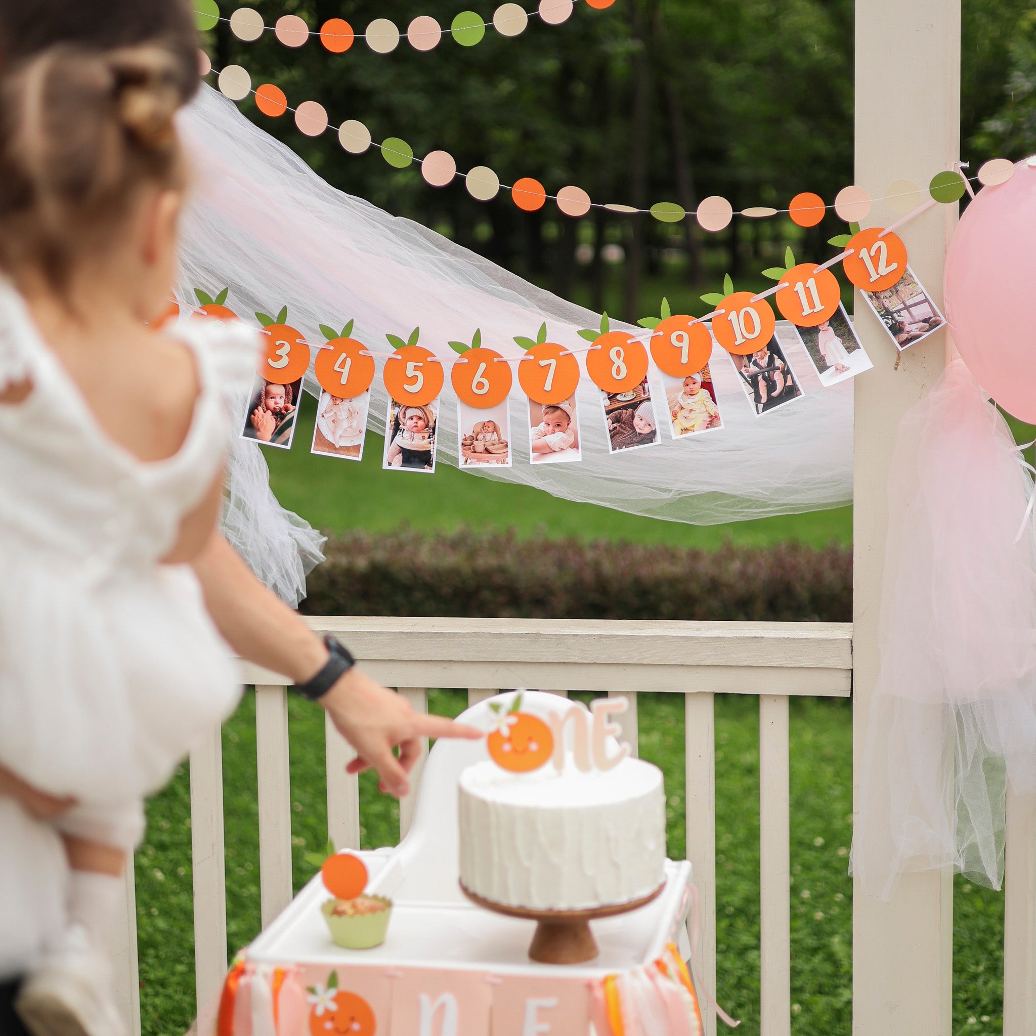 Little Cutie Monthly Photo Banner - Clementine 1st Birthday Decor
