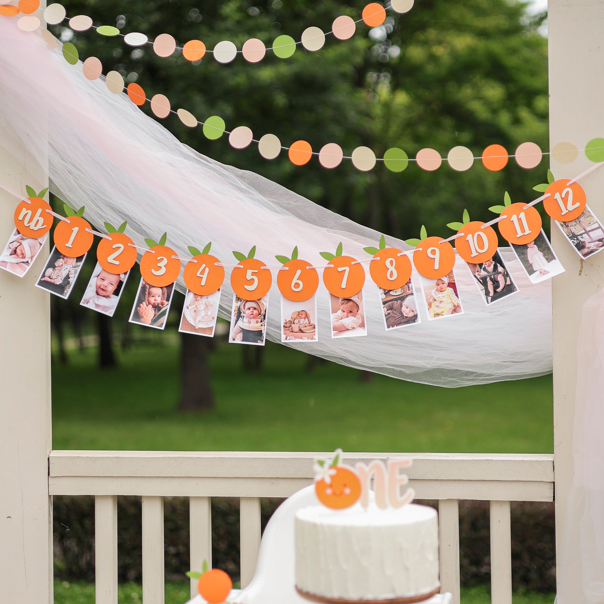 Little Cutie Monthly Photo Banner - Clementine 1st Birthday Decor
