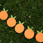 Close-up of an orange clementine garland for party decor