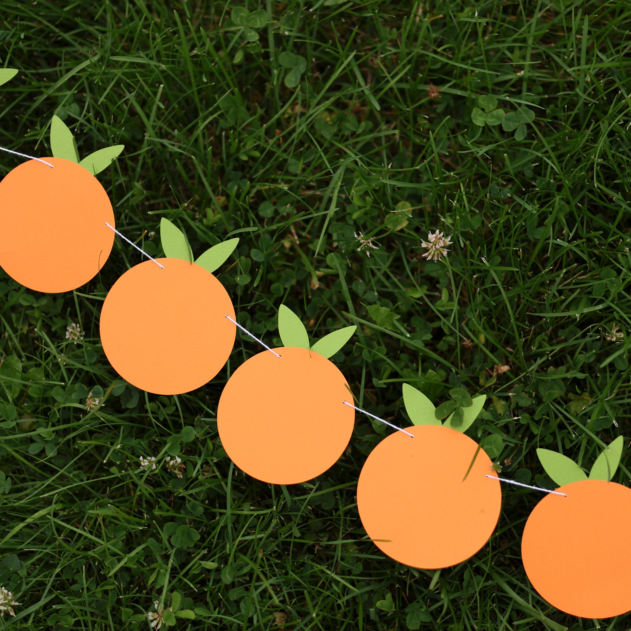 Close-up of an orange clementine garland for party decor