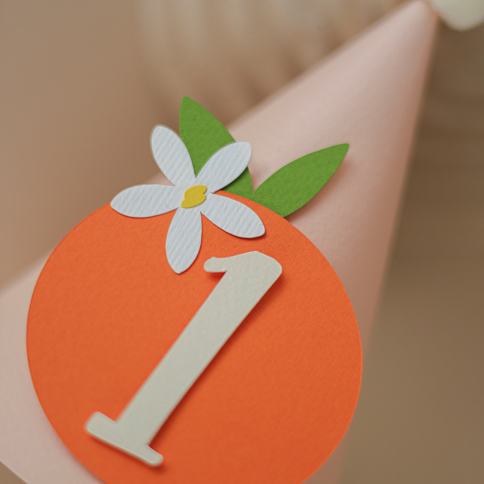 Little Cutie 1st Birthday Party Hat - Clementine Citrus Cake Smash