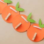 Little Cutie Monthly Photo Banner - Clementine 1st Birthday Decor