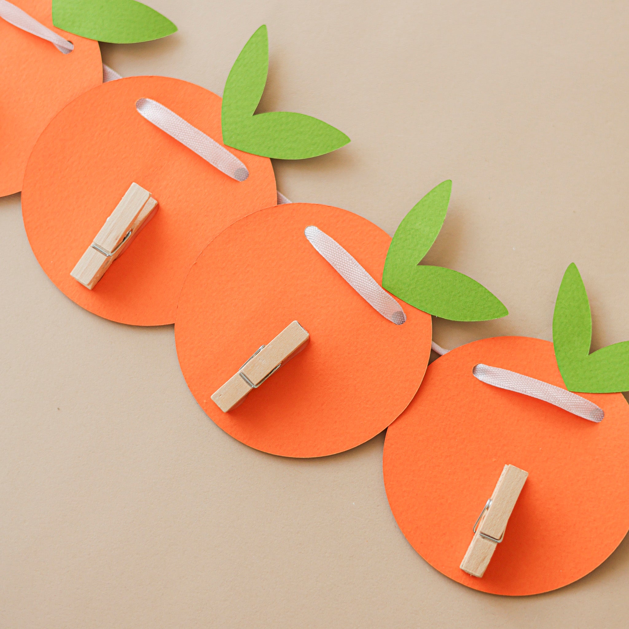 Little Cutie Monthly Photo Banner - Clementine 1st Birthday Decor