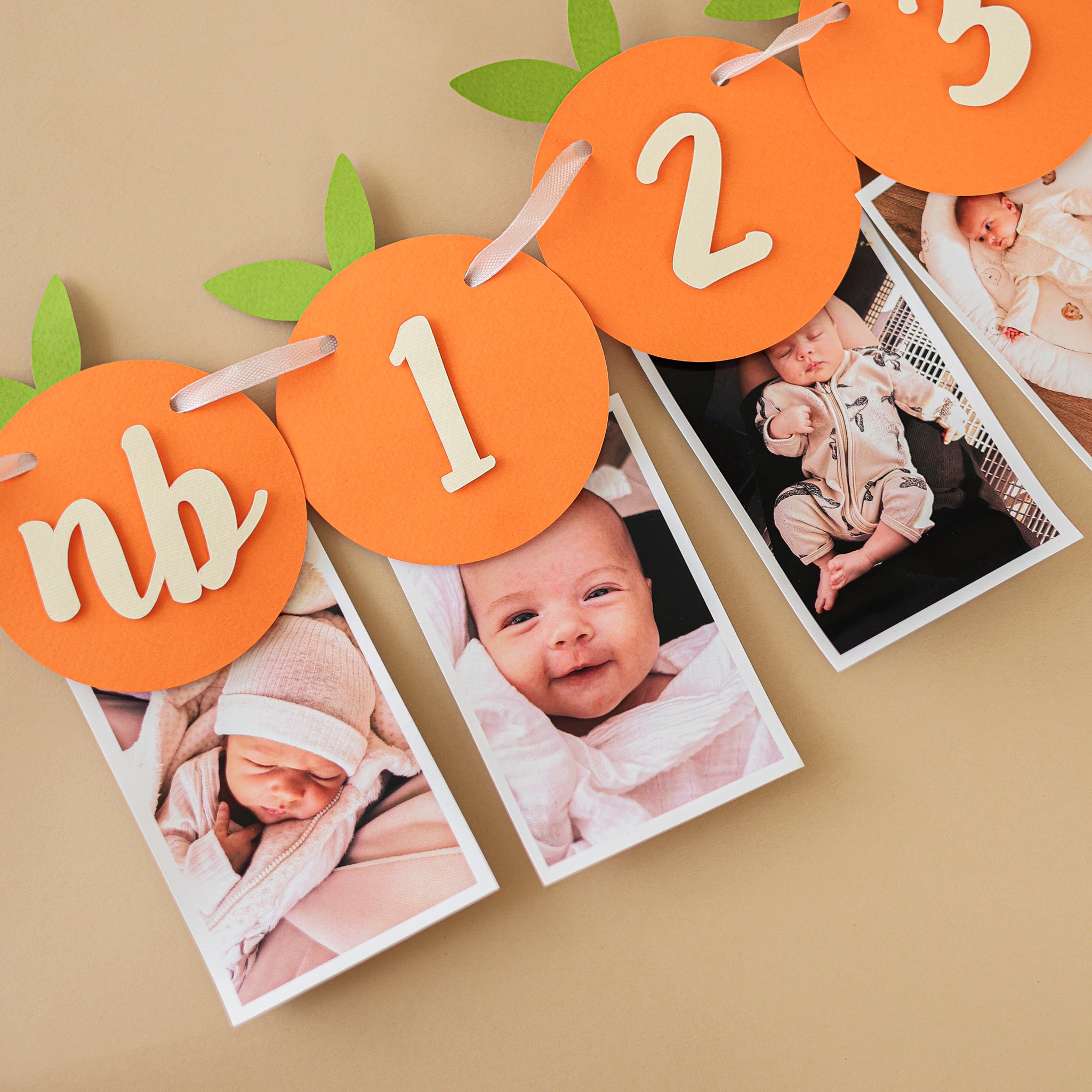 Little Cutie Monthly Photo Banner - Clementine 1st Birthday Decor