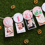 Girl Golf 1st Birthday Monthly Photo Banner - Pink Hole in One Decor