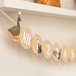 Lucky Duck 1st Birthday Decorations Duck Birthday Party One Lucky Duck Mallard Duck party Summer or Fall Birthday party