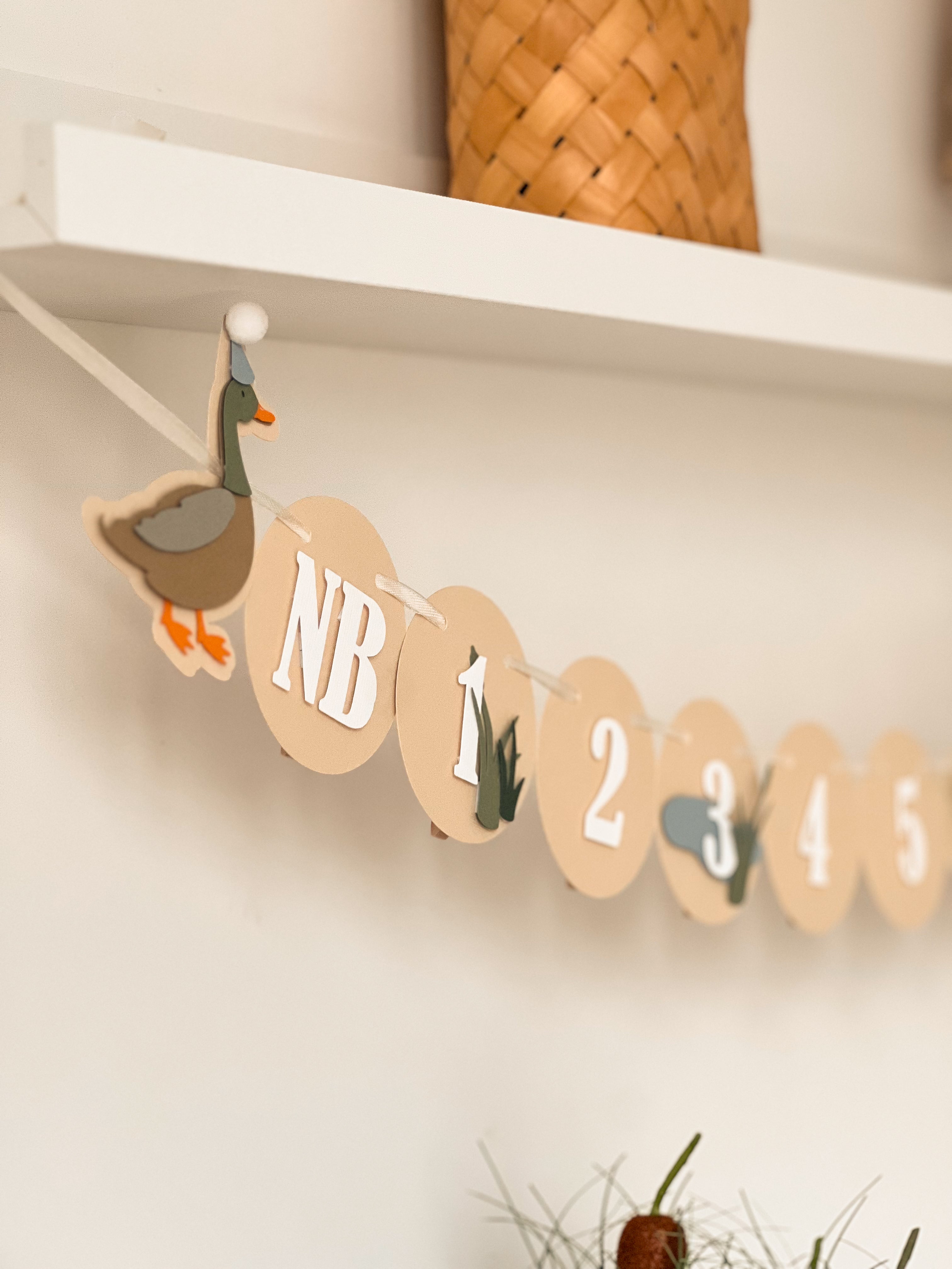 Lucky Duck 1st Birthday Decorations Duck Birthday Party One Lucky Duck Mallard Duck party Summer or Fall Birthday party