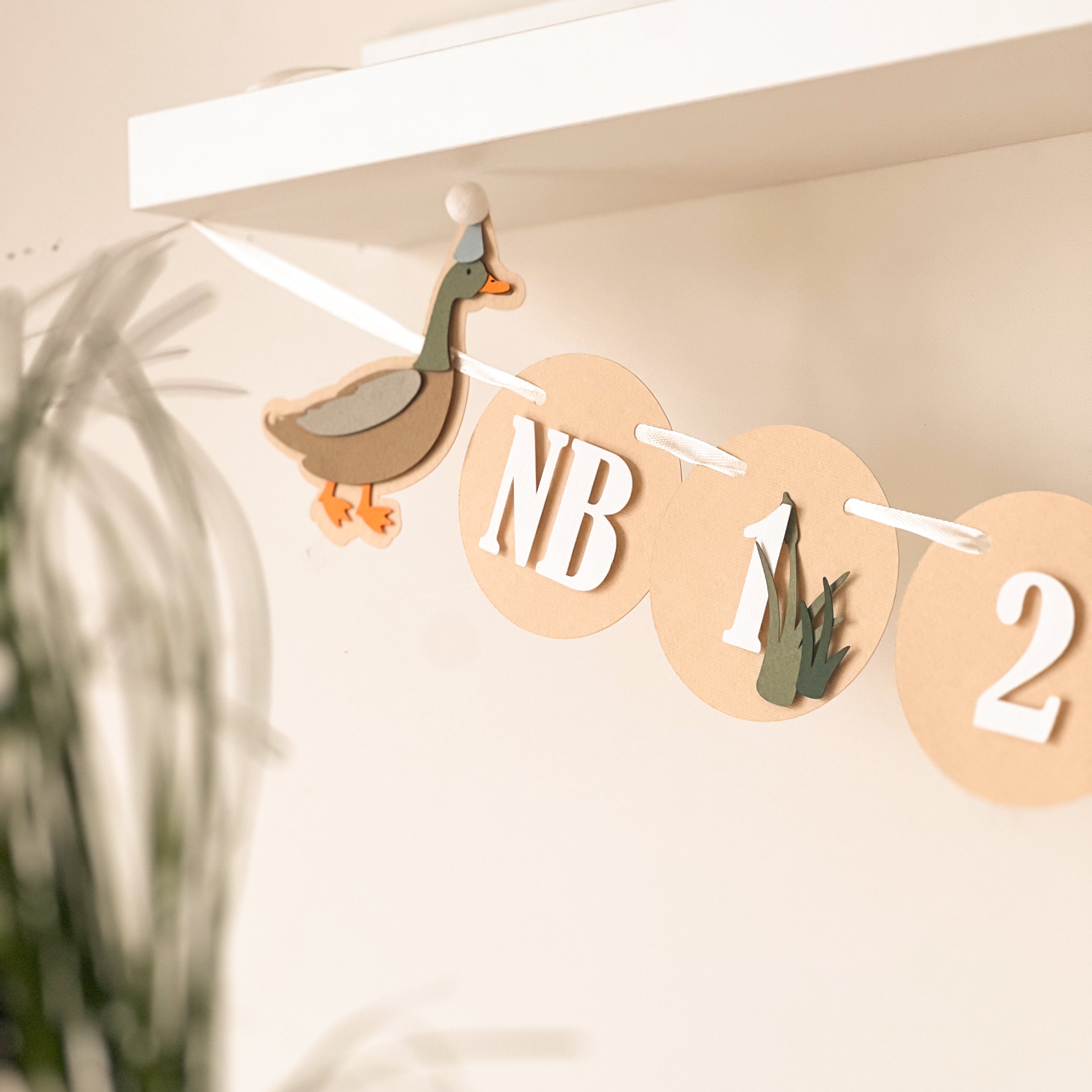 Duck 12 Month Photo Banner-Ready To Ship