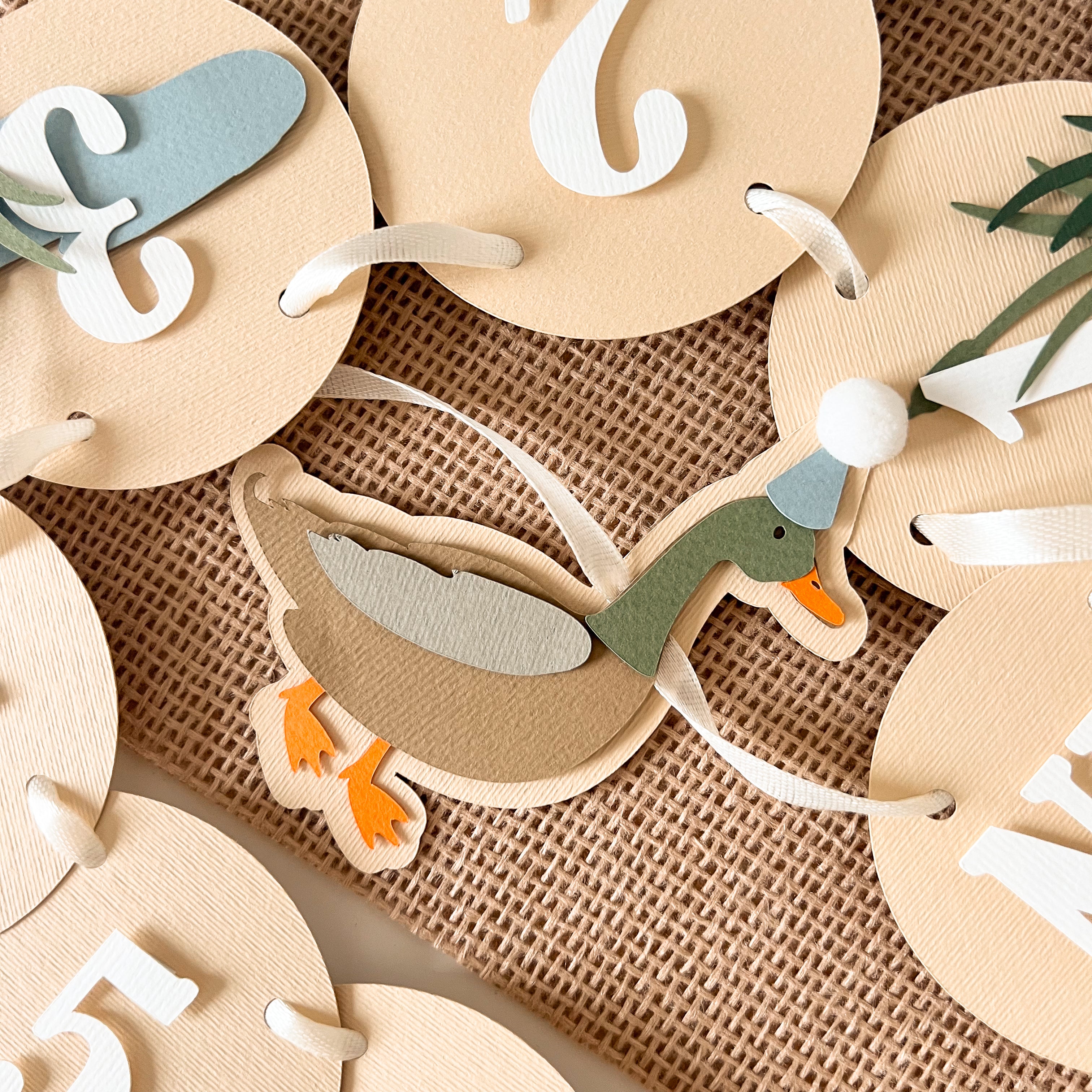 Duck 12 Month Photo Banner-Ready To Ship