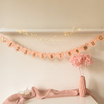12 Month Photo Banner Blush Gold Girl First Birthday Decorations 