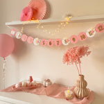 Ballerina 12 Month Banner Ballet Dancer Banner Coquette themed party