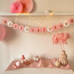 Ballerina 12 Month Banner Ballet Dancer Banner Coquette themed party