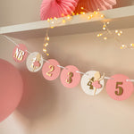 Ballerina 12 Month Banner Ballet Dancer Banner Coquette themed party