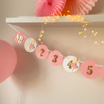 Ballerina 12 Month Banner Ballet Dancer Banner Coquette themed party