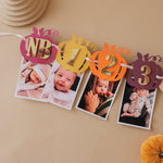 Little Pumpkin 1st Birthday Photo Banner - Fall Party Decor
