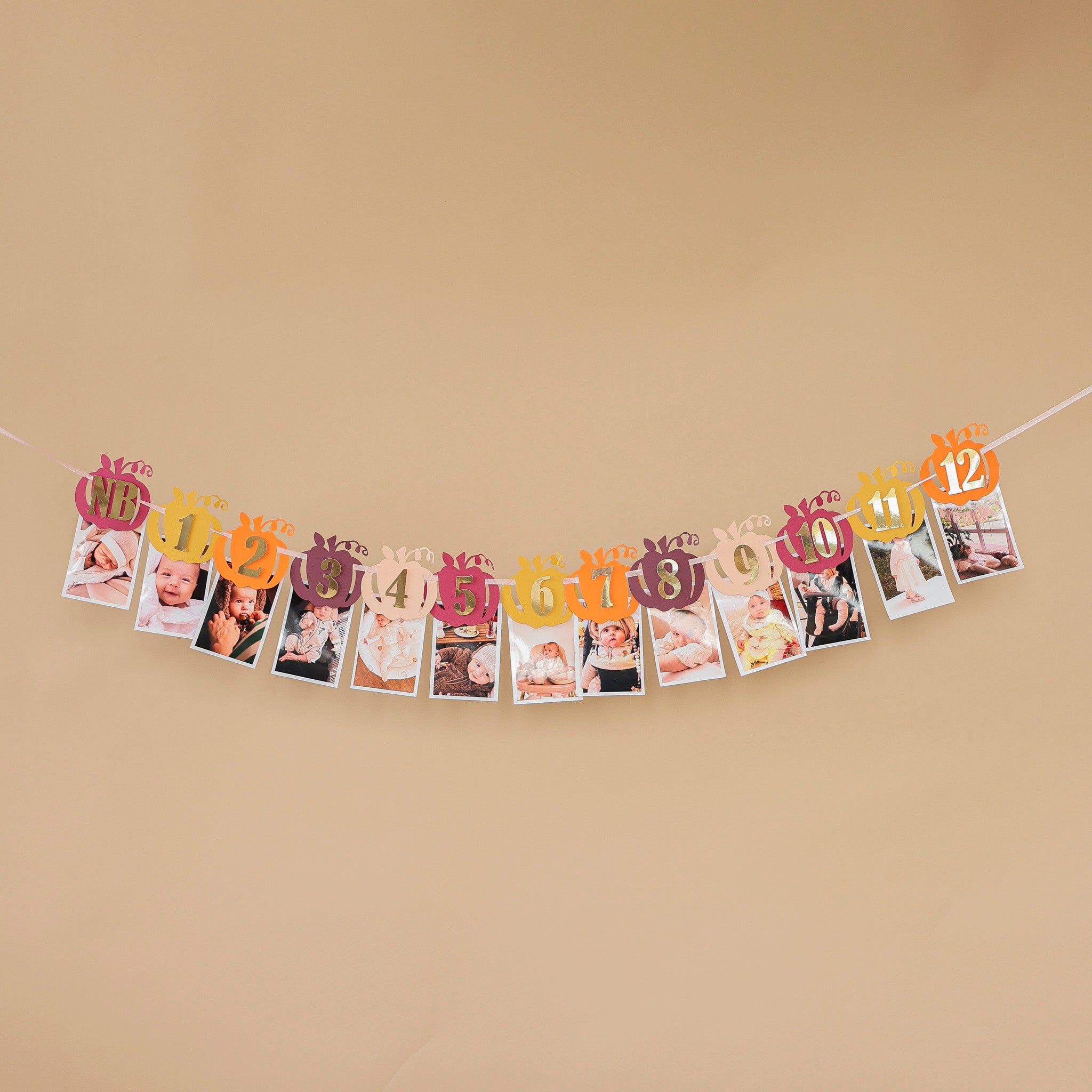 Little Pumpkin 1st Birthday Photo Banner - Fall Party Decor