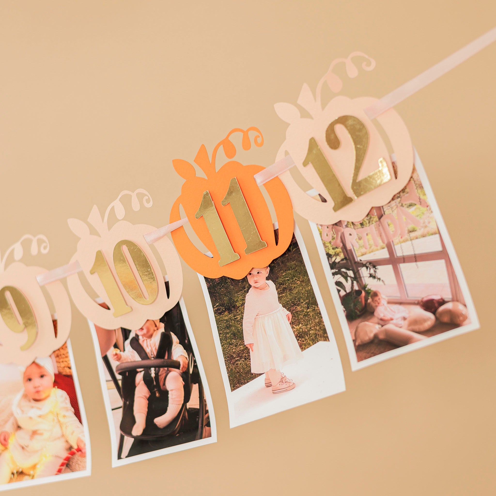 Little Pumpkin 1st Birthday Photo Banner - Fall Party Decor
