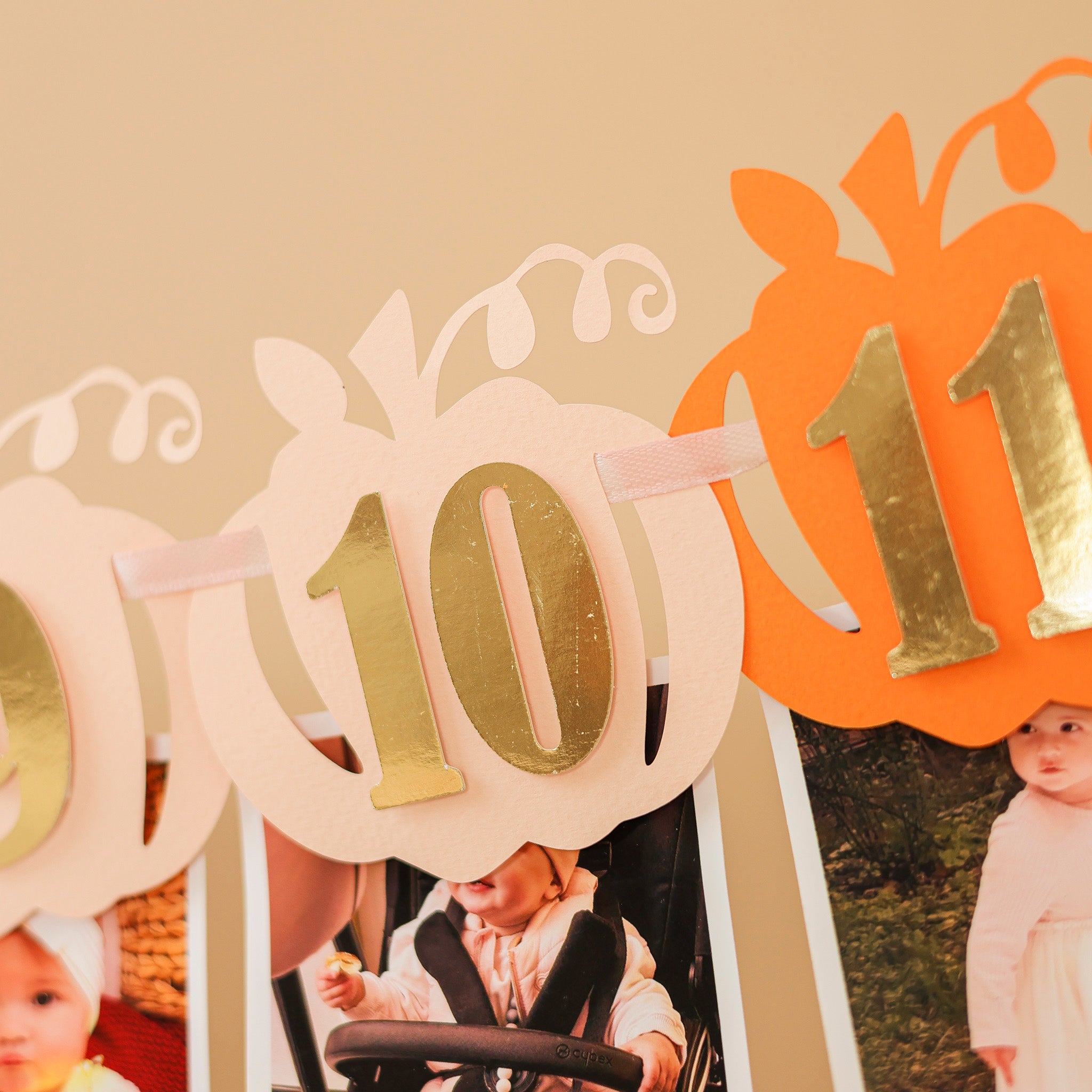 Little Pumpkin 1st Birthday Photo Banner - Fall Party Decor