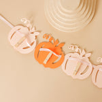 Little Pumpkin 1st Birthday Photo Banner - Fall Party Decor