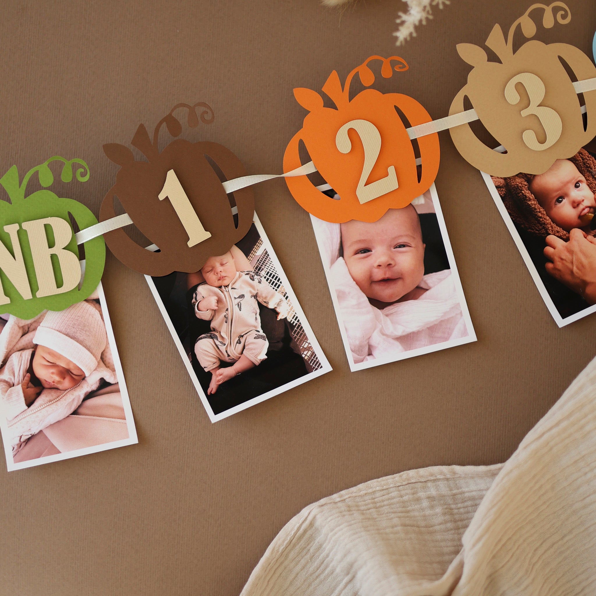 Boy's Pumpkin 12 Month Photo Banner - Fall 1st Birthday Party Decor