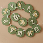 Safari Jungle First Birthday Monthly Photo Banner - Wild One 12 Month Garland