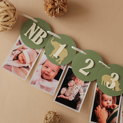 Safari Jungle First Birthday Monthly Photo Banner - Wild One 12 Month Garland